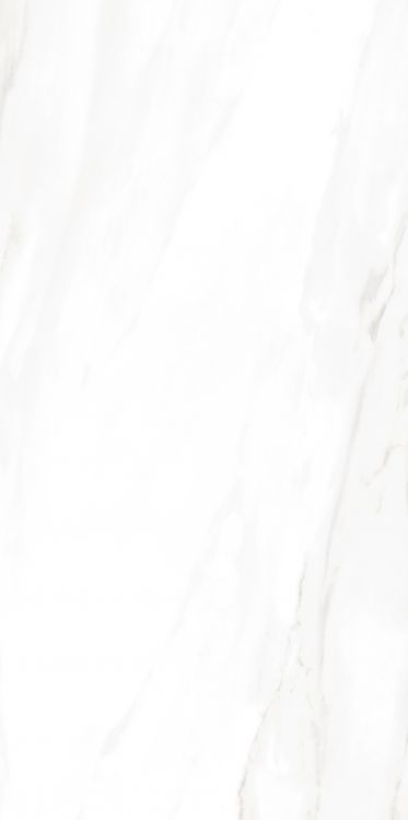EC Calacatta Gold Matte 24 x 48